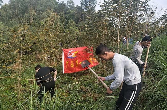 2.植树活动现场.jpg