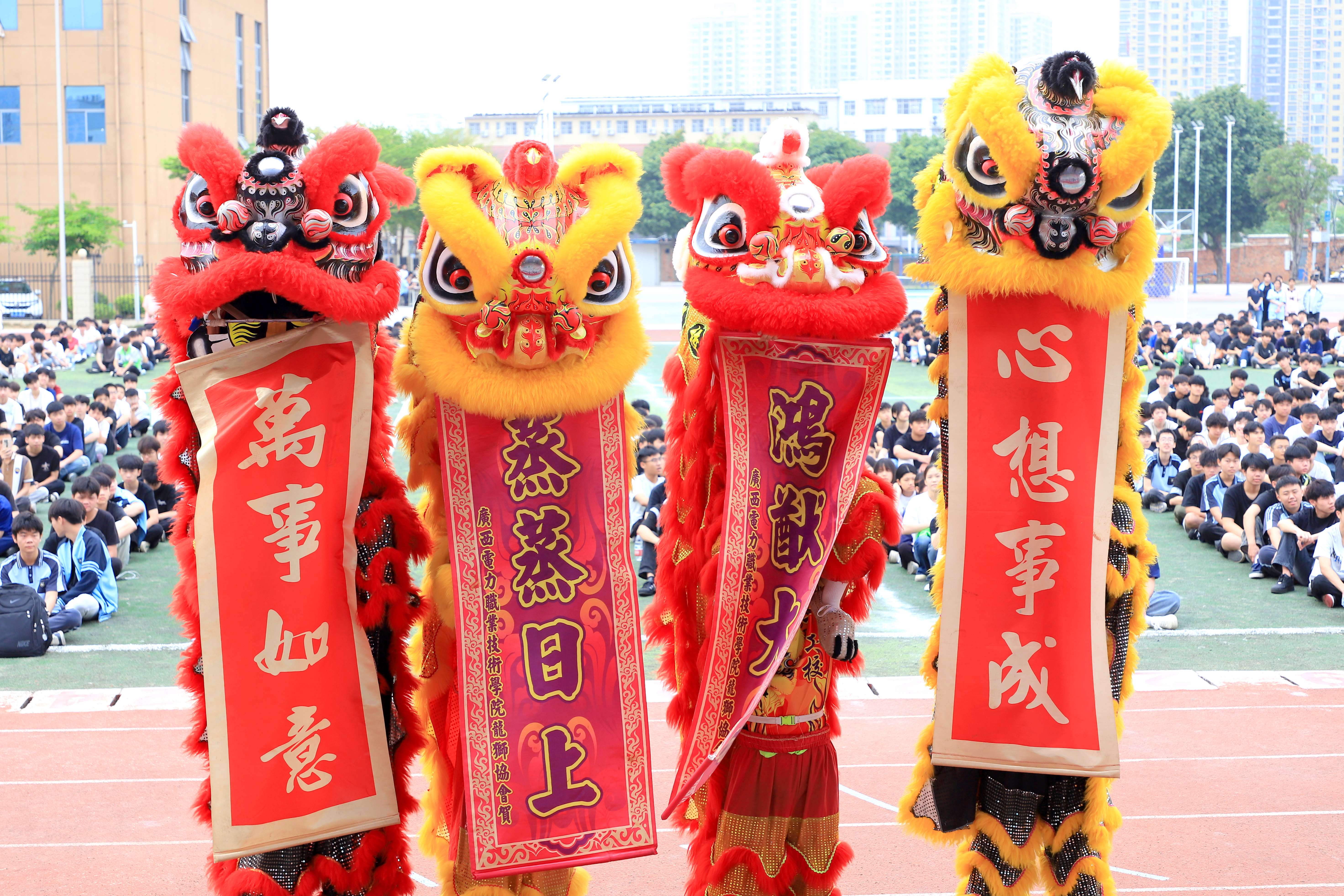 1776302247482022.jpg 1776302247482022.jpg