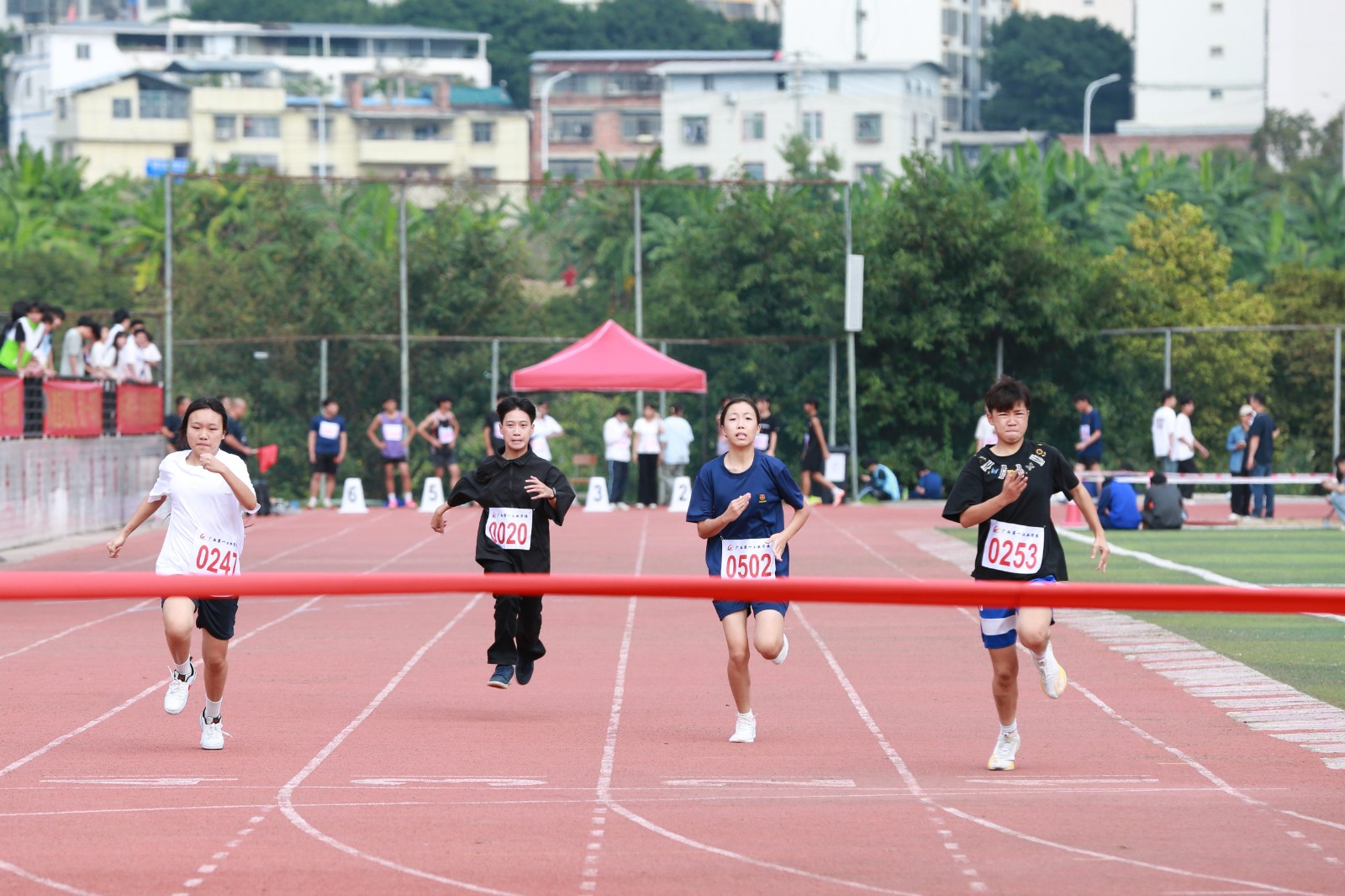 1763454651634027.jpg 1763454651634027.jpg